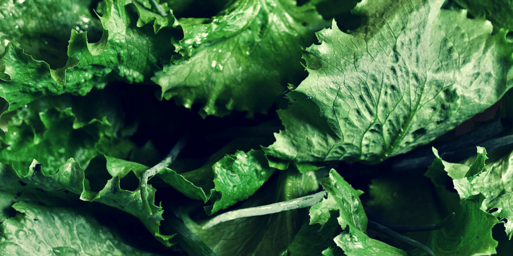 Foods like Lettuce can cause incidents like the chipotle salmonella outbreak.