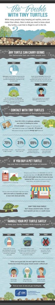 Trouble With Turtles Infographic