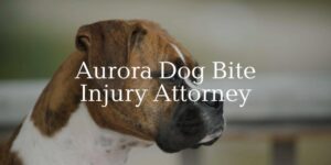 aurora dog bite injury attorney